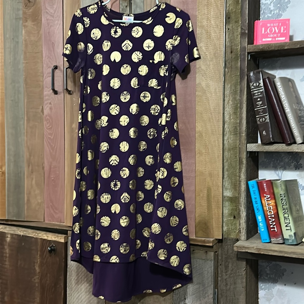 LuLaRoe Elegant Carly Dress